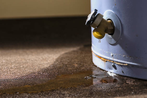 Best Water damage restoration near me  in , CA