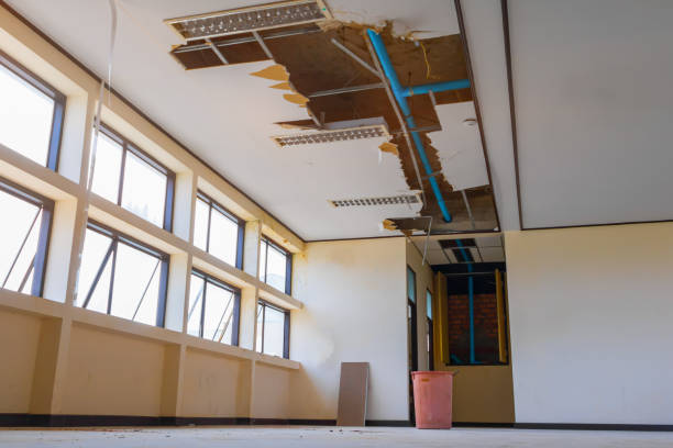 Best 24/7 water damage repair  in , CA