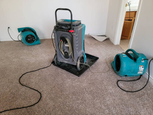 Best Water damage restoration near me  in , CA