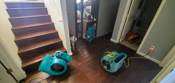 Best Sewage cleanup and water damage restoration  in , CA
