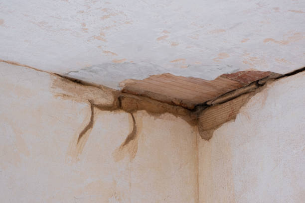 Best Residential water damage restoration  in , CA