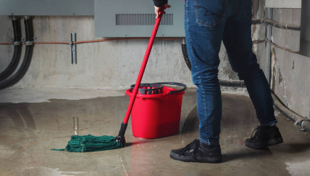 Best Basement water damage restoration  in , CA