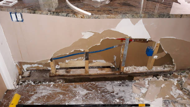 Best Water damage cleanup near me  in , CA