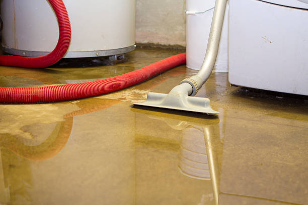 Best Flood damage cleanup  in , CA