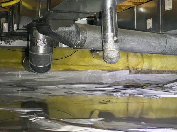 Best Ceiling water damage repair  in , CA