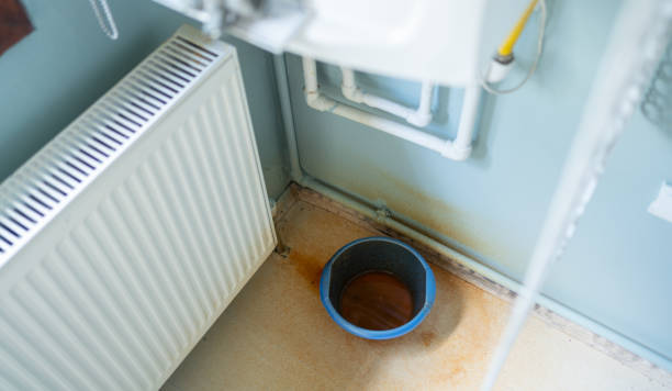 Best Professional water damage repair  in , CA