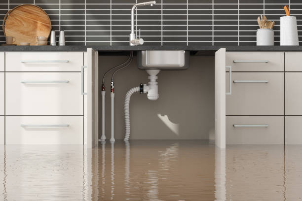 Best Water damage contractors near me  in , CA