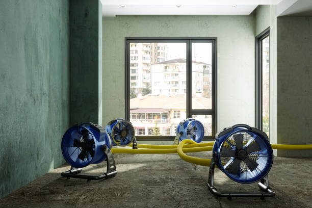 Best Basement water damage restoration  in , CA