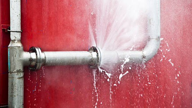 Best Fire Damage Restoration  in , CA
