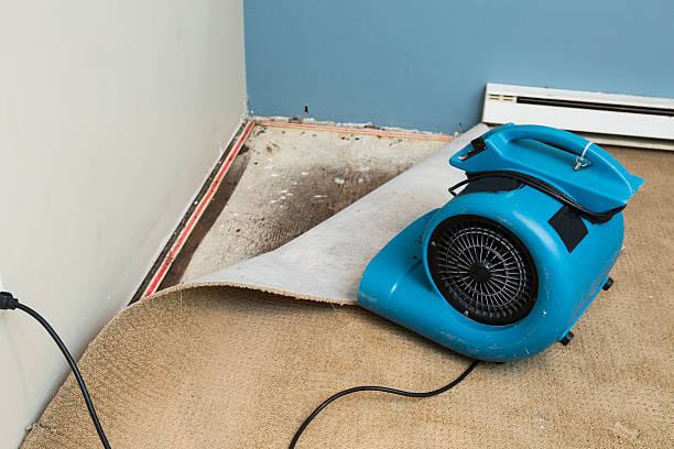 Best Flood restoration services  in , CA